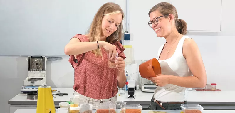 Experimente im Labor