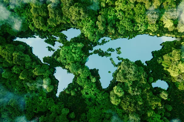 Sustainability