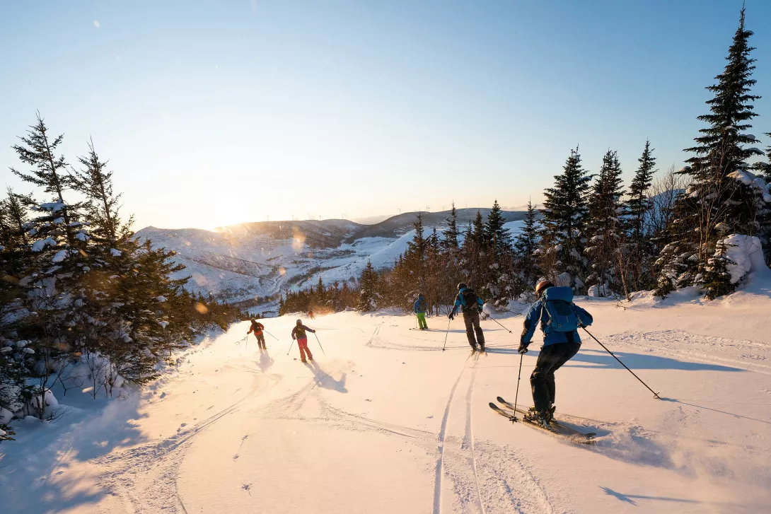 Schnee Ski Wintersport