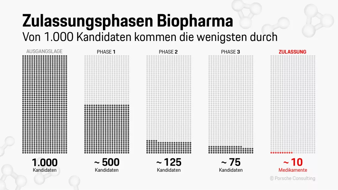 Zulassungsphasen Biopharma